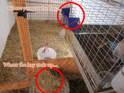 Diy Hay Manger For About 2ish Random Rabbit Ramblings
